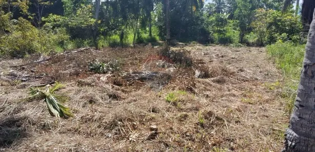 Terreno / Lote / Condomínio à venda, 300m² no , Maragogi