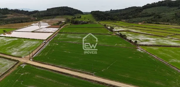 Fazenda / Sítio / Chácara com 3 Quartos à venda, 151697m² no Massarandubinha, Massaranduba