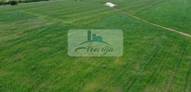 Fazenda / Sítio / Chácara à venda, 3455m² no , Lagoa da Confusão