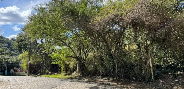 Terreno / Lote / Condomínio à venda, 3750m² no Jardim M. Pereira, Miguel Pereira