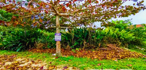 Terreno / Lote / Condomínio à venda, 300m² no Praia do Ervino, 