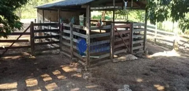 Fazenda / Sítio / Chácara com 3 Quartos à venda, 120m² no Área Rural de Santo Antônio do Descoberto, Santo Antônio do Descoberto