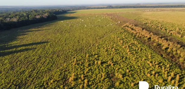 Fazenda / Sítio / Chácara à venda, 304m² no , Guaraí