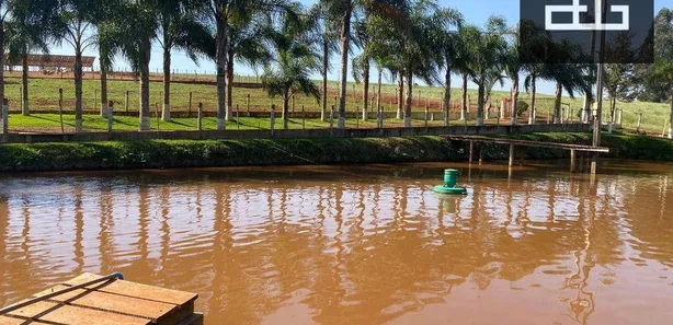 Fazenda / Sítio / Chácara com 3 Quartos à venda, 43560m² no Sede Alvorada, Cascavel