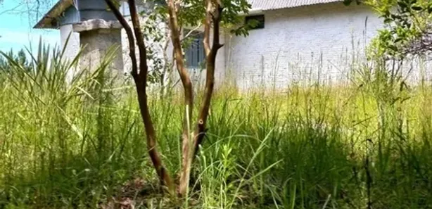 Terreno / Lote / Condomínio com 1 Quarto à venda, 2414m² no , Balsa Nova