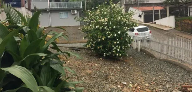 Casa com 4 Quartos à venda, 160m² no Fortaleza, Blumenau