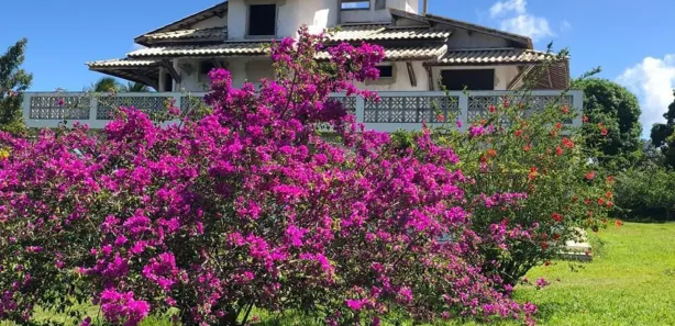 Fazenda / Sítio / Chácara com 6 Quartos à venda, 16000m² no Praia do Forte, Mata de São João