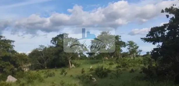 Fazenda / Sítio / Chácara à venda, 6m² no , Divinópolis do Tocantins