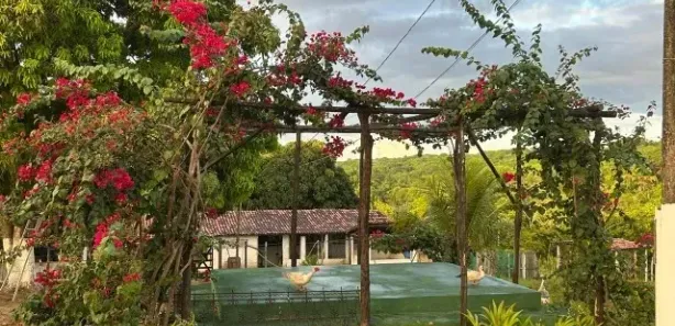 Fazenda / Sítio / Chácara com 3 Quartos à venda, 50000m² no Jacumã, Conde