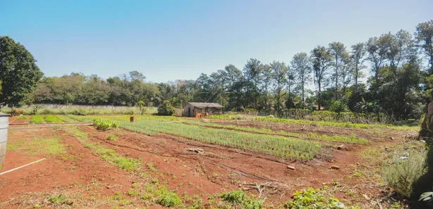 Fazenda / Sítio / Chácara com 5 Quartos à venda, 5000m² no Náutica, Foz do Iguaçu