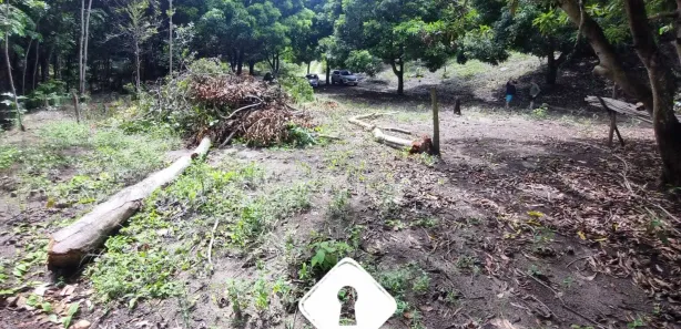Fazenda / Sítio / Chácara com 3 Quartos à venda, 30000m² no , Conde
