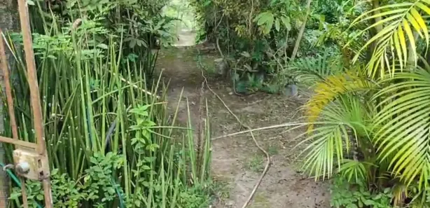 Fazenda / Sítio / Chácara com 5 Quartos à venda, 50000m² no Gravatá Centro, Gravatá