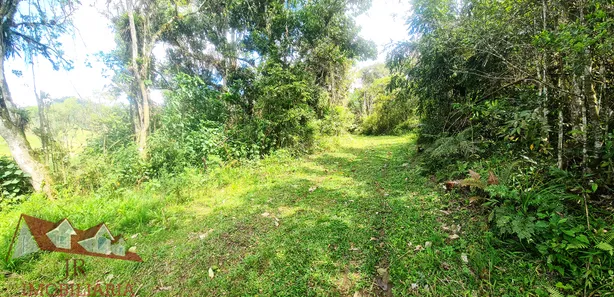 Fazenda / Sítio / Chácara à venda, 12400m² no Matulão, Tijucas do Sul
