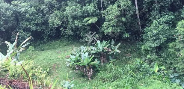 Fazenda / Sítio / Chácara com 3 Quartos à venda, 7000m² no Somma, Ribeirão Pires
