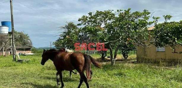 Fazenda / Sítio / Chácara à venda, 27m² no , Nossa Senhora das Dores