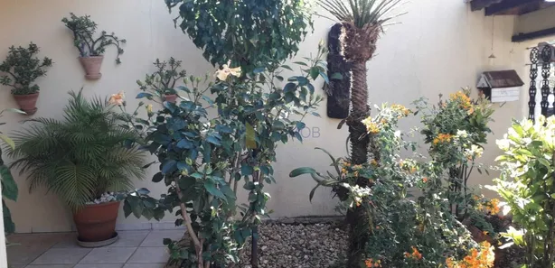 Sobrado com 3 Quartos à venda, 240m² no Vila Pasti, Louveira