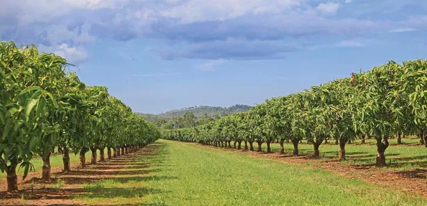 Fazenda / Sítio / Chácara à venda, 120000m² no Área Rural de Petrolina, Petrolina