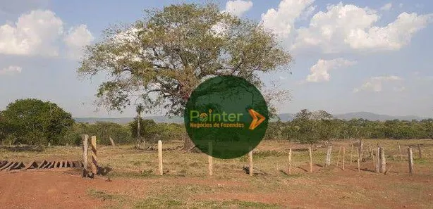 Fazenda / Sítio / Chácara à venda, 10599600m² no Vila Oeste, Paraíso do Tocantins