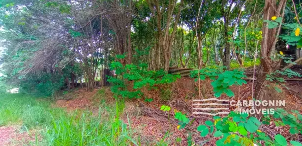 Fazenda / Sítio / Chácara com 1 Quarto à venda, 3000m² no Caçapava Velha, Caçapava