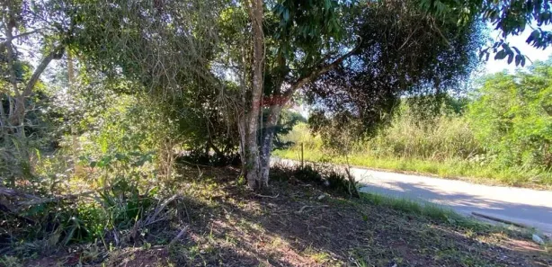 Terreno / Lote / Condomínio à venda, 364m² no Armação dos Búzios, Armação dos Búzios