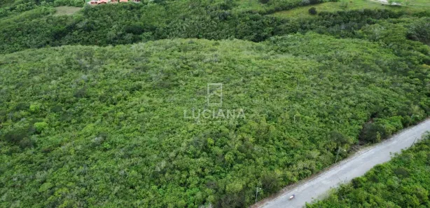 Fazenda / Sítio / Chácara à venda, 260000m² no Alpes Suiços, Gravatá