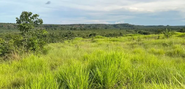 Fazenda / Sítio / Chácara com 2 Quartos à venda, 4985000m² no , Ponte Alta do Tocantins