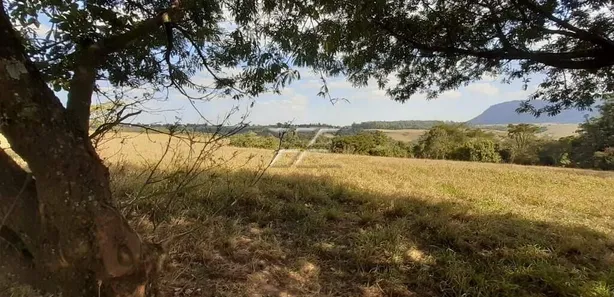 Fazenda / Sítio / Chácara à venda, 40753m² no Centro, Ipeúna