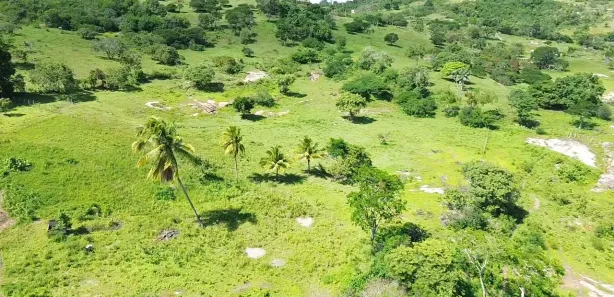 Fazenda / Sítio / Chácara com 2 Quartos à venda, 92000m² no Área Rural de Gravatá, Gravatá