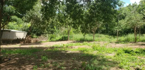 Fazenda / Sítio / Chácara com 3 Quartos à venda, 3000m² no Caracóis de Baixo, Esmeraldas
