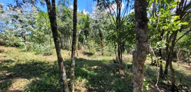 Terreno / Lote / Condomínio à venda, 63000m² no Jardim da Colina, Campina Grande do Sul