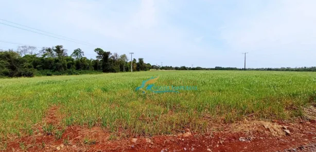Fazenda / Sítio / Chácara com 3 Quartos à venda, 400m² no Coqueiral, Cascavel