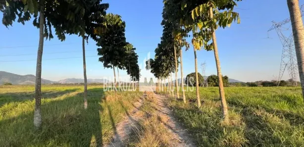 Fazenda / Sítio / Chácara com 3 Quartos à venda, 450000m² no Papucaia, Cachoeiras de Macacu