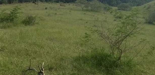 Terreno / Lote / Condomínio à venda, 500m² no Bosque do Jaguari, Igaratá