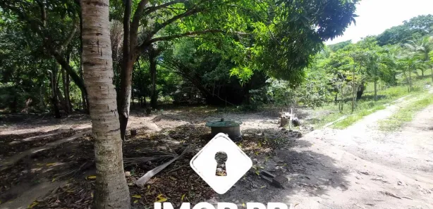 Fazenda / Sítio / Chácara com 3 Quartos à venda, 30000m² no , Conde