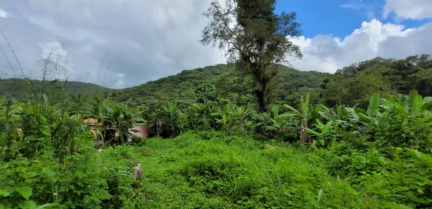 Terreno / Lote / Condomínio à venda, 20000m² no Pacoti, Pacoti