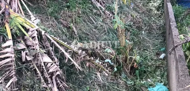 Terreno / Lote / Condomínio com 1 Quarto à venda, 590m² no Quitandinha, Petrópolis