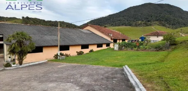 Fazenda / Sítio / Chácara com 7 Quartos à venda, 300m² no Campo Largo da Roseira, São José dos Pinhais