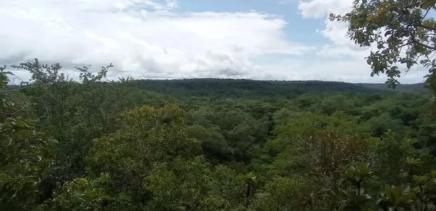 Fazenda / Sítio / Chácara à venda, 233m² no Centro, Rio Sono