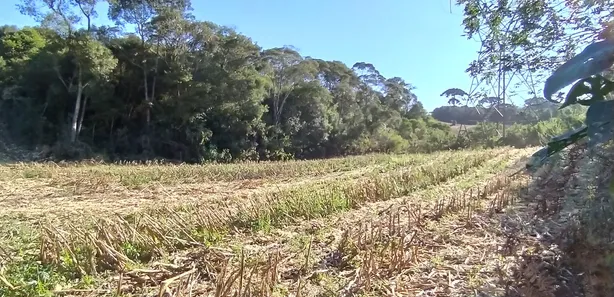 Fazenda / Sítio / Chácara à venda, 12700m² no Restinga Seca, Almirante Tamandaré