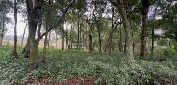Fazenda / Sítio / Chácara com 1 Quarto à venda, 1000m² no Cataratas, Foz do Iguaçu