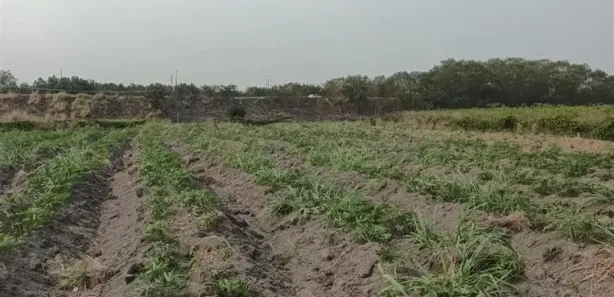 Fazenda / Sítio / Chácara à venda, 65000m² no Santa Cruz, Rio de Janeiro