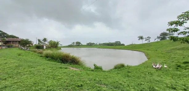 Fazenda / Sítio / Chácara com 11 Quartos à venda, 1000m² no , Pombos