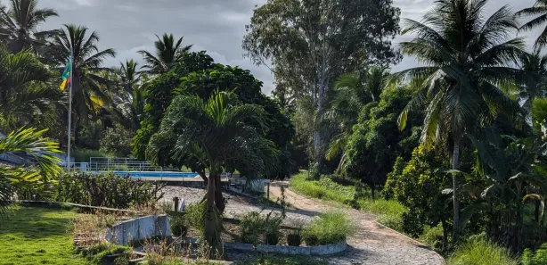 Fazenda / Sítio / Chácara com 6 Quartos à venda, 300m² no , Conde