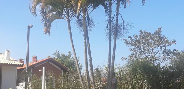 Fazenda / Sítio / Chácara com 2 Quartos à venda, 204m² no Nova Rheata, Boituva