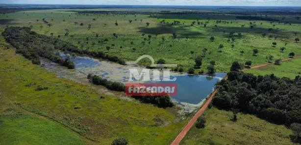 Fazenda / Sítio / Chácara à venda, 27646080m² no , Pium