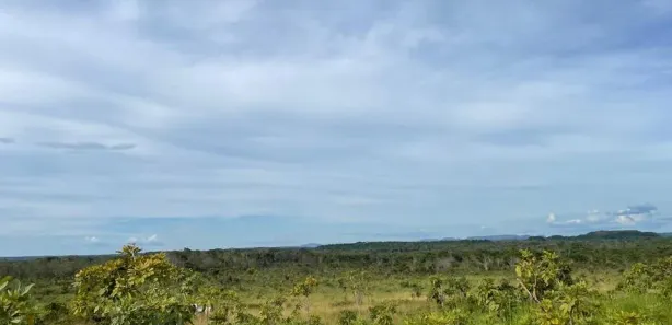 Fazenda / Sítio / Chácara à venda, 7332600m² no , Santa Maria do Tocantins