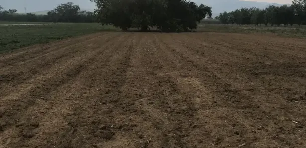 Terreno / Lote / Condomínio à venda, 1000m² no Saboó, São Roque