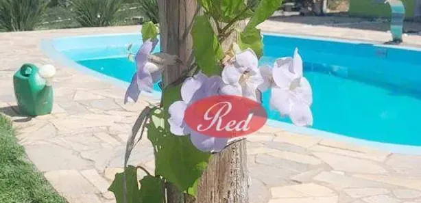 Fazenda / Sítio / Chácara com 3 Quartos à venda, 1000m² no Rio Acima, Atibaia