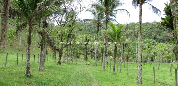 Fazenda / Sítio / Chácara com 6 Quartos à venda, 150000m² no Funchal, Cachoeiras de Macacu