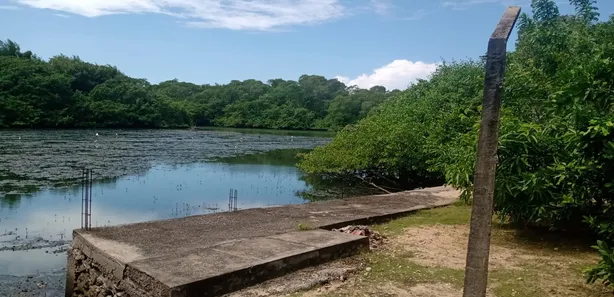 Casa com 4 Quartos para venda ou aluguel, 250m² no Barra de Jangada, Jaboatão dos Guararapes